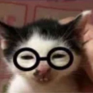 Meet your Posher, Kenya